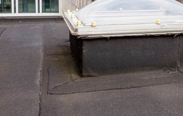 disadvantages of Balgrochan flat roofs